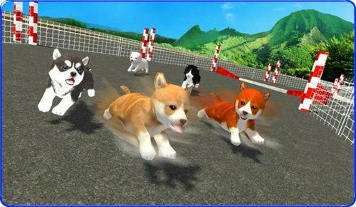 杜宾犬模拟器_杜宾狗动画_手机版杜宾犬游戏