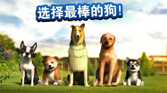 杜宾犬模拟器_手机版杜宾犬游戏_杜宾狗动画