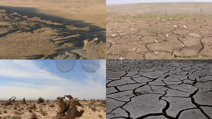 世界防止荒漠化和干旱日是啥时候_干旱地区荒漠化的防治措施_防荒漠化和干旱日
