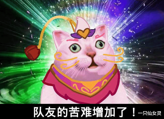猫手机游戏_猫咪手游最新游戏3d对战类_手机 猫 游戏