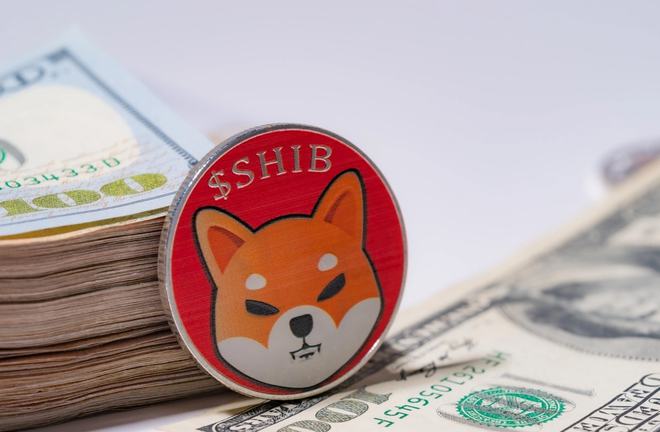 小狐狸钱包不显示代币价值_钱包狐狸代币价值显示小怎么办_币圈狐狸钱包