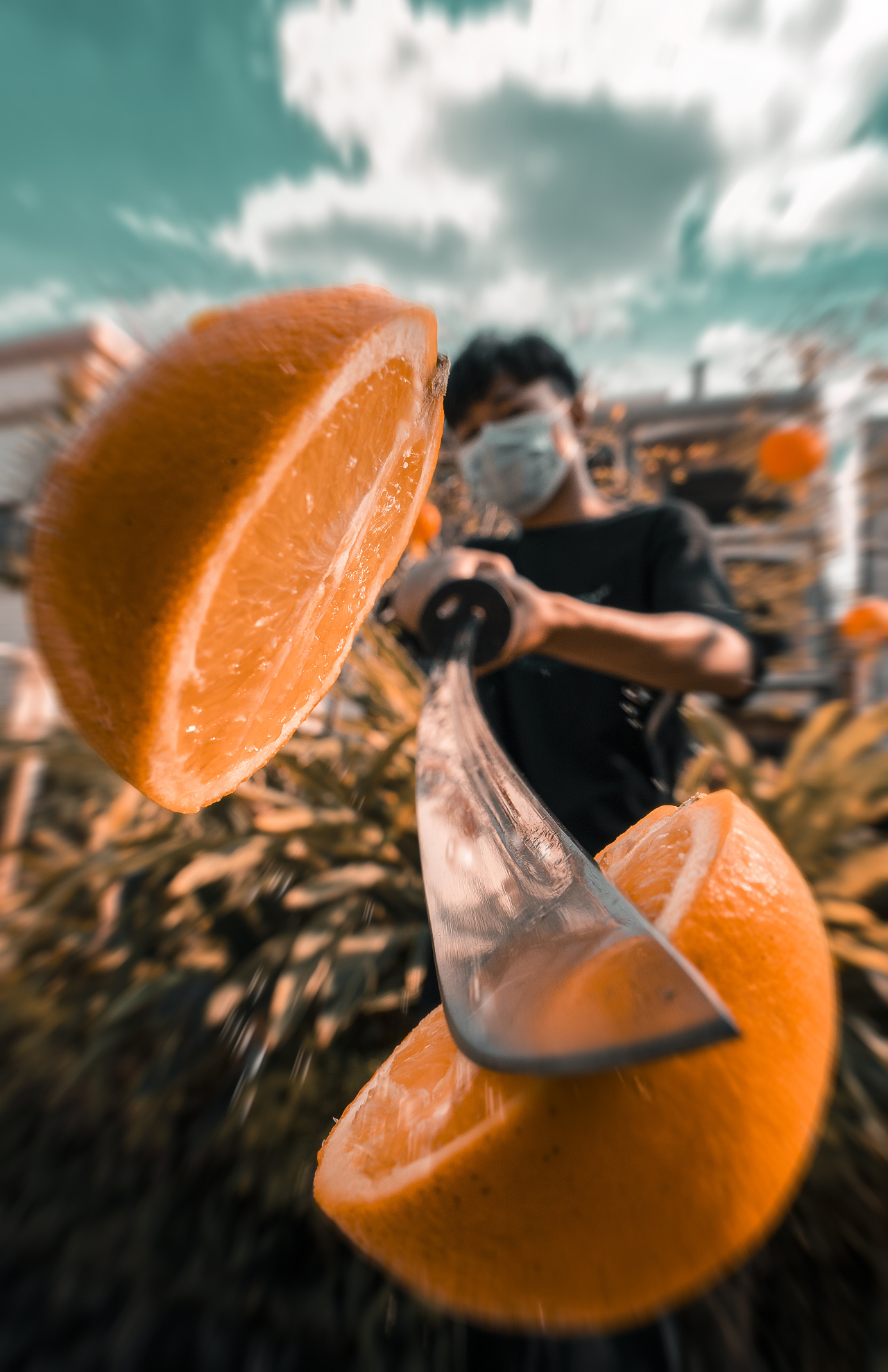 家庭游戏手机摄影_适合摄影的游戏_摄影家庭手机游戏大全