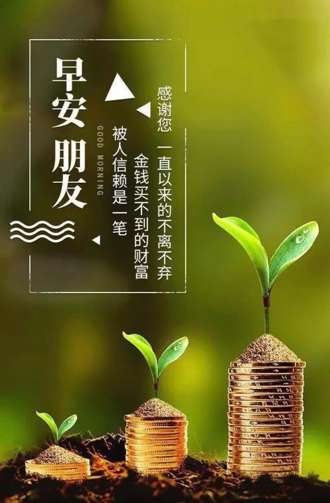 13号星期五_星期号英文_星期号桃树长啥样