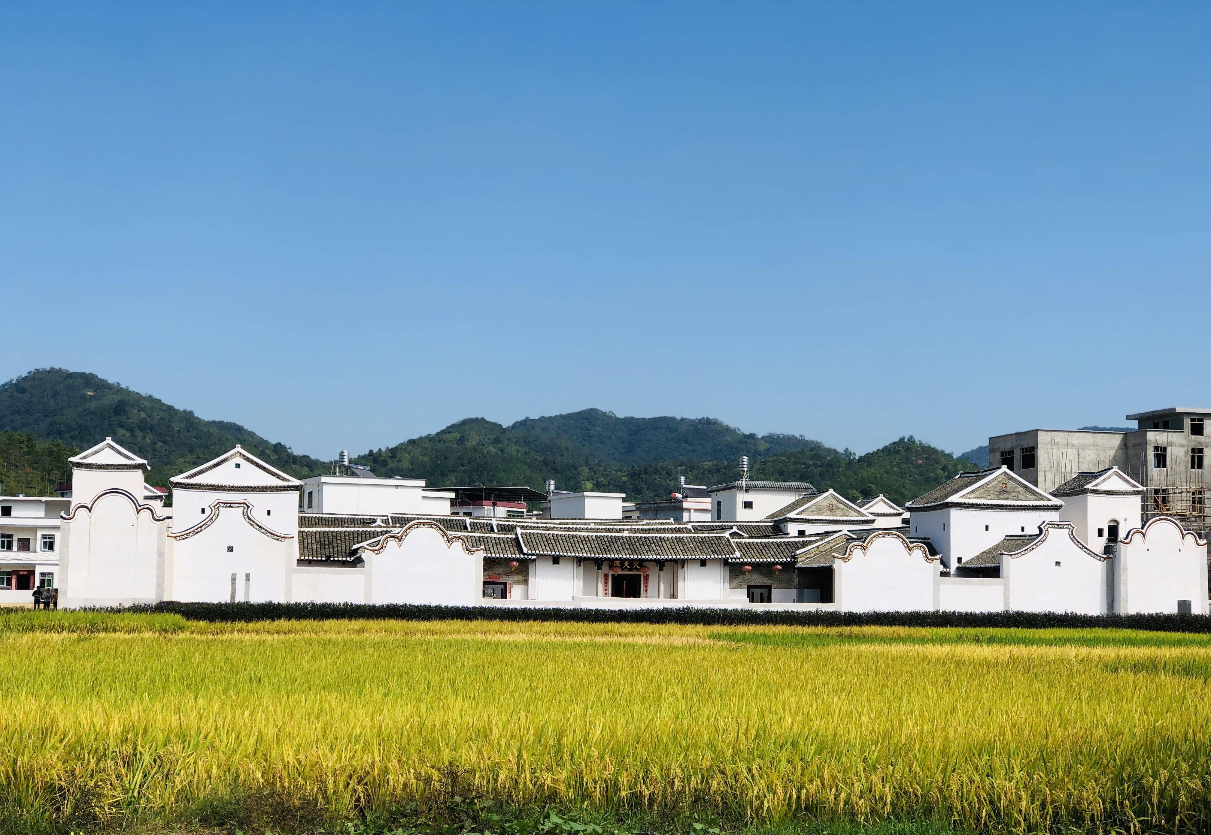 客家游戏手机版_客家游戏大厅_客家版手机游戏大全