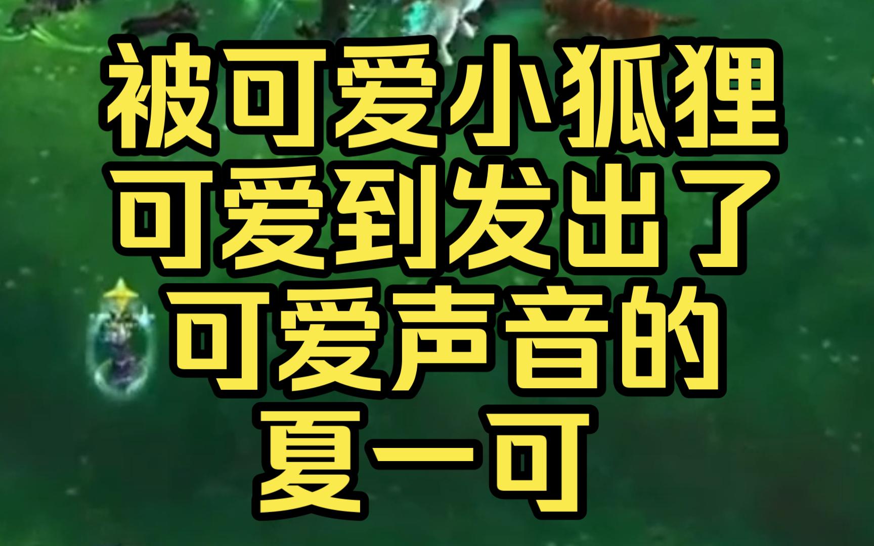 小狐狸钱包安装教程_小狐狸钱包安装方法视频教学_狐狸钱包使用教程
